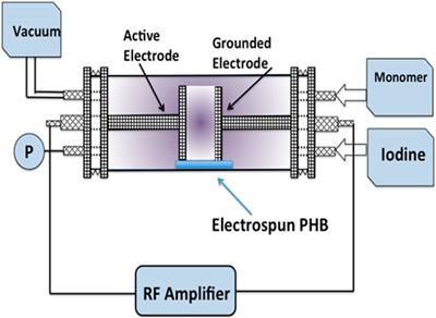 Plasma Functionalized Scaffolds of Polyhydroxybutyrate Electrospun Fibers for Pancreatic Beta Cell Cultures